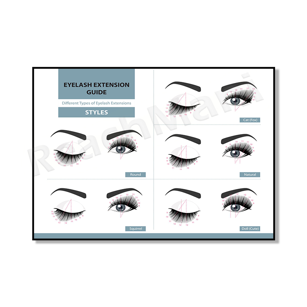 Beauty Makeup Pictures - Eyelash Extension Technician's Guide Makeup Posters